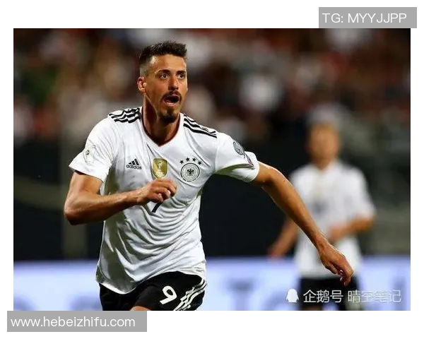 瓦格纳足球球星卡收藏价值与球迷文化传播深度解析